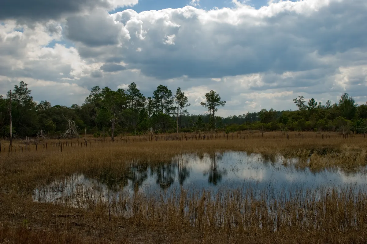 Mount Kalaga National Park — Wilderness